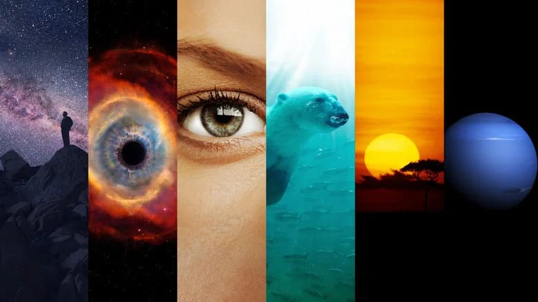 Cosmos: Uma Odisseia do Espaço-Tempo